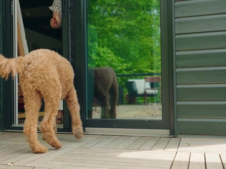 Batıkent Stor Sineklik Kaliteli Markalar Cazip Fiyatlarla